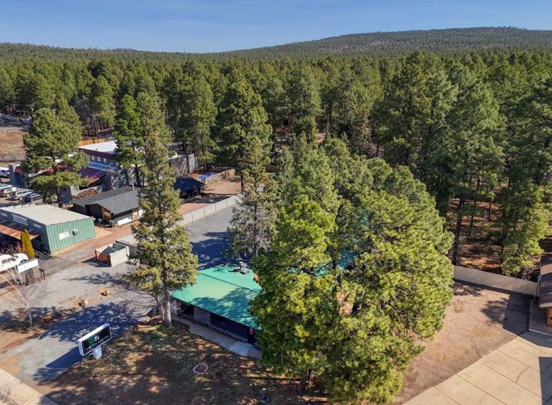 The property among the ponderosa pines
